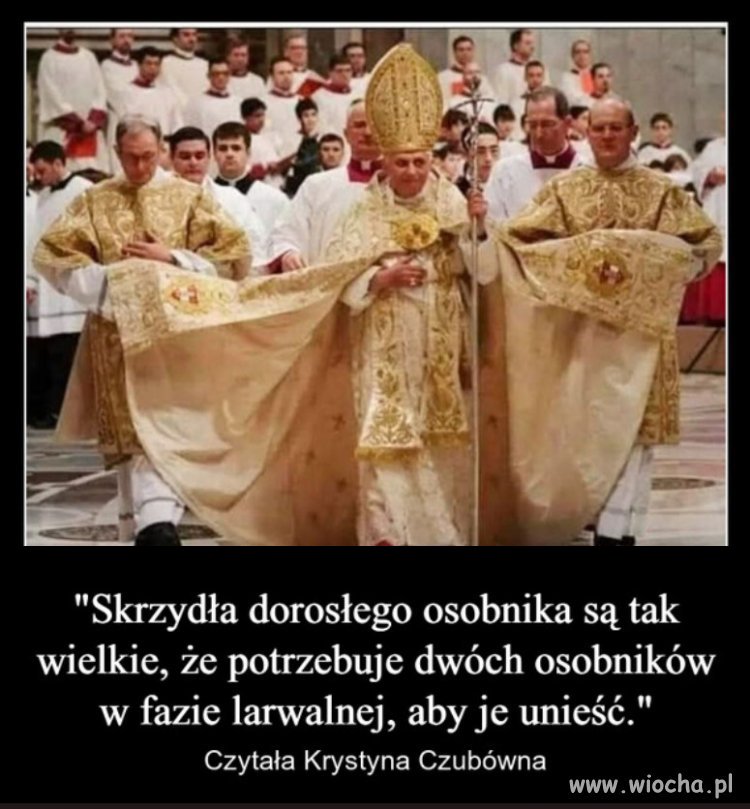 "Oto wielka tajemnica wiary: euro, złoto i dolary"