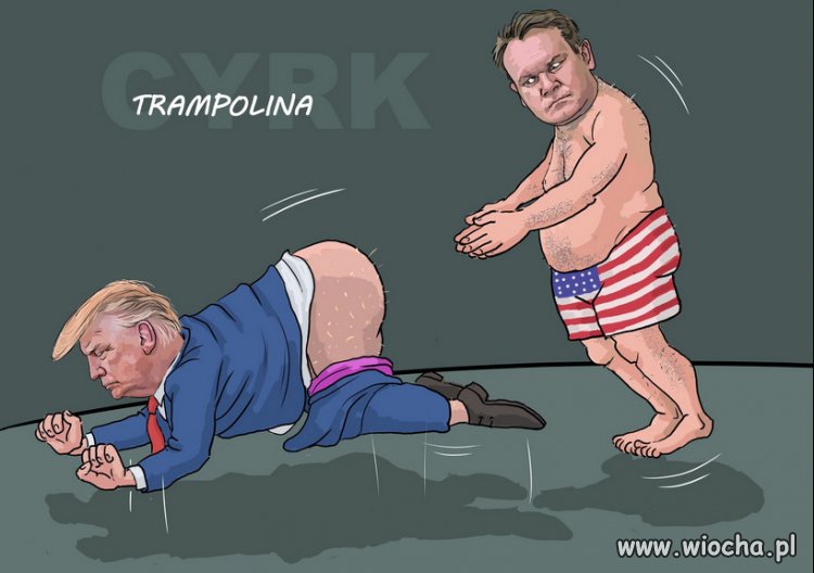 Wystepy Cyrku PiSu w USA... Trafi?😁