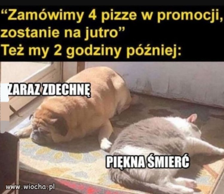 Zawsze, ale to zawsze 