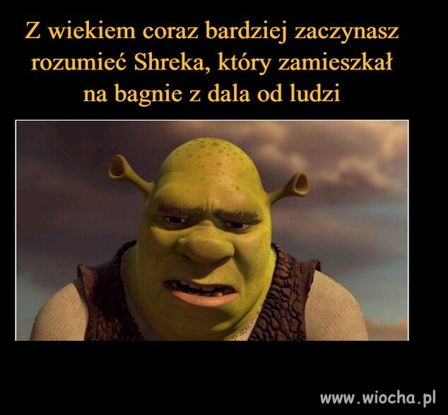 Co fakt to fakt