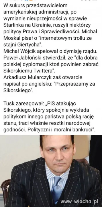 Zły to ptak...
