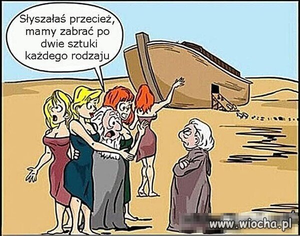 Arka Nołego.