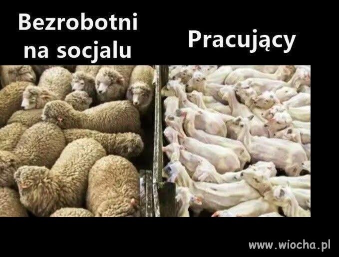 W każdym kraju tak jest
