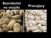 W każdym kraju tak jest