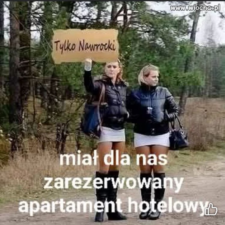 Wyborczynie ...
