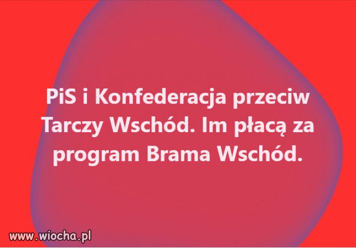 Użyteczni sojusznicy i lokaje Putina...