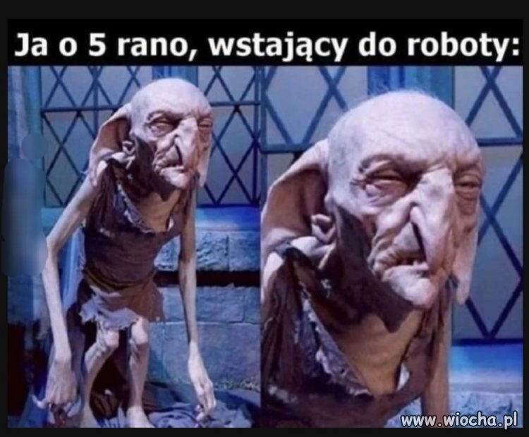 Ja oraz miliony innych 