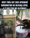 Kot ogrodnik