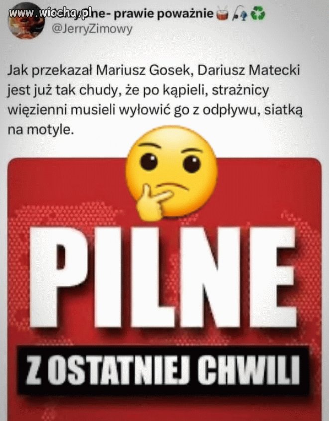 Biedaczek
