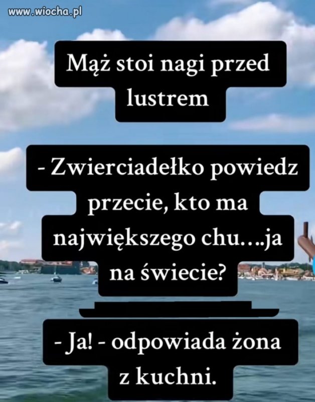 Bez polityki 
