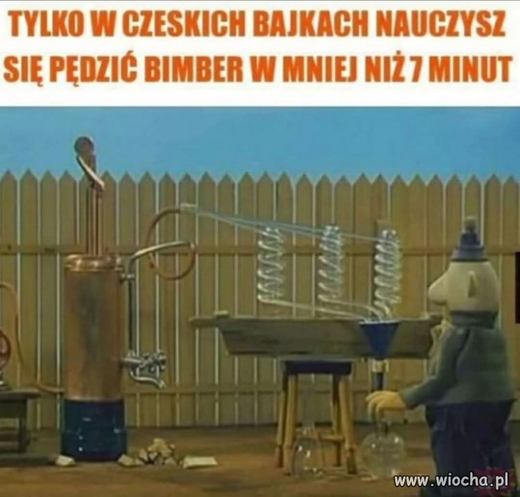 Na Podlasiu robią to w 5min. razem z dystrybucją.