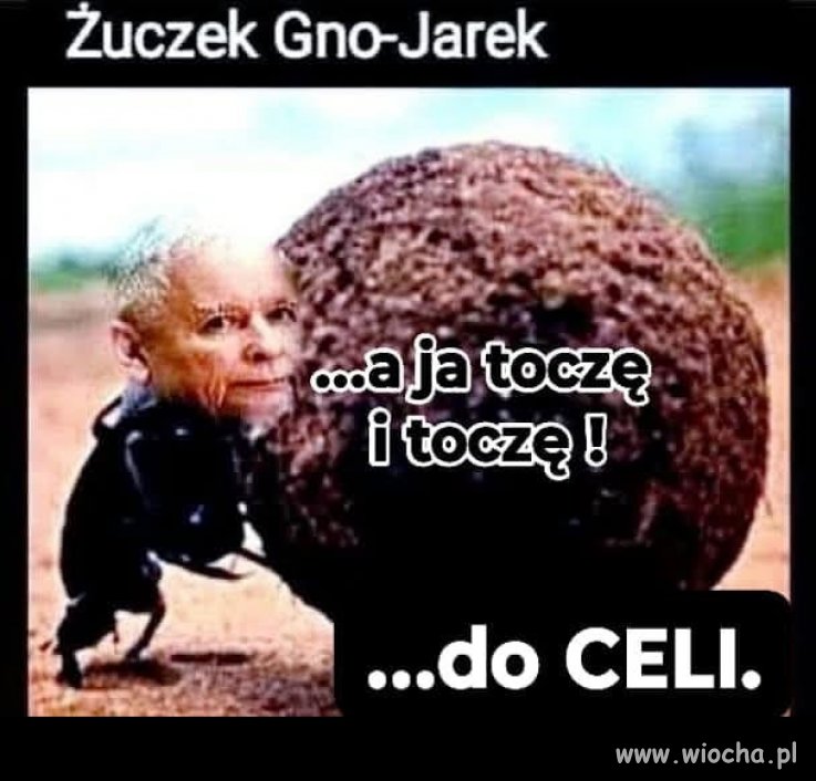 Blisko, coraz bliżej ... do celi 