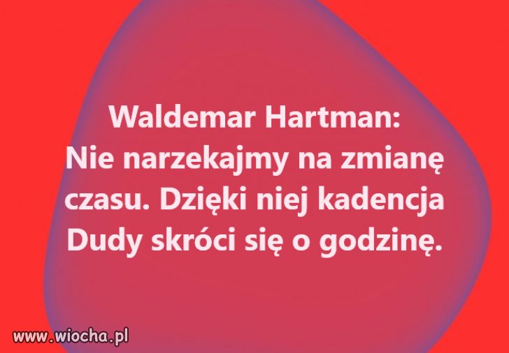 No fakt, zawsze to jakaś pociecha. Wstydu mniej...