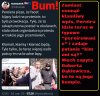 Pisowcy łgarze i wszarze