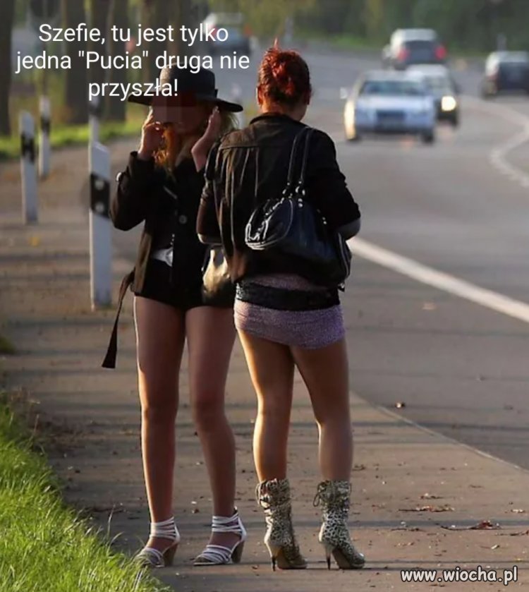 Nawrocki: som tylko dwie pucie...