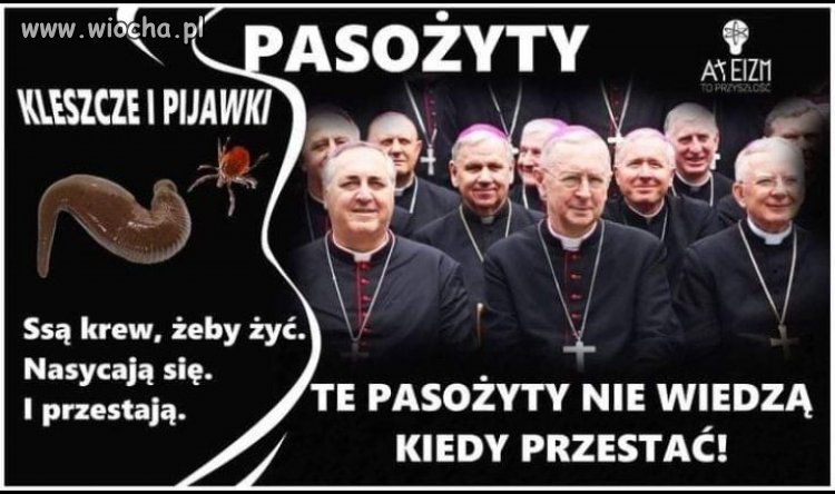 Pasożyty; podobieństwa i różnice.
