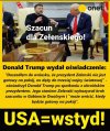 Pomarańczowy idiota Z Ameryki