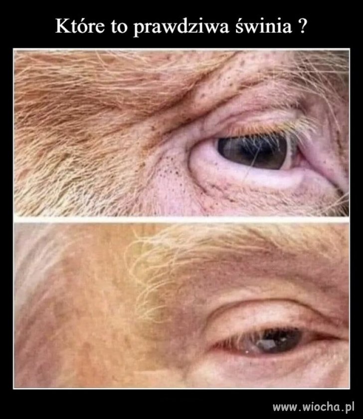 Zapraszam na krótki quiz. Obstawiajcie ...