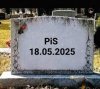 Symboliczna data końca PIS