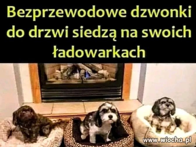 Kto ma ten wie 