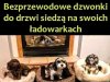 Kto ma ten wie 