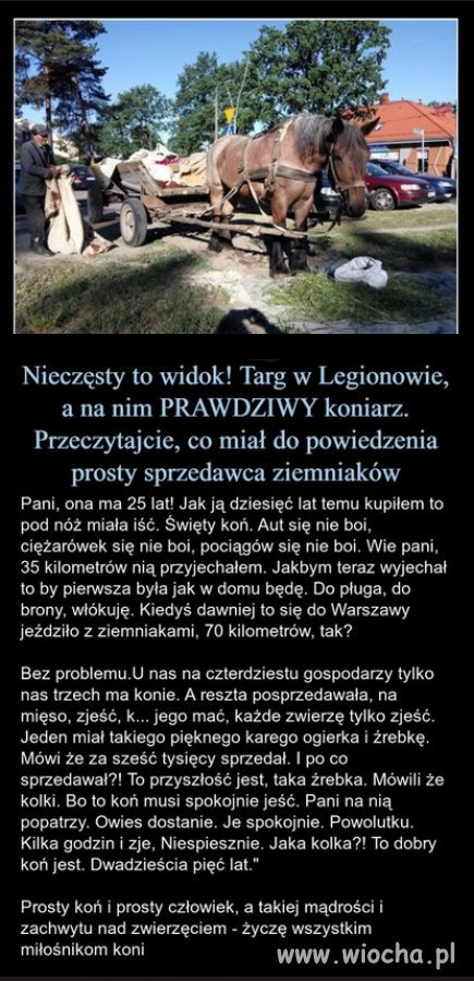 To daje wiele do myślenia...