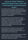Konfederosja Mentzena, to stan umysłu!