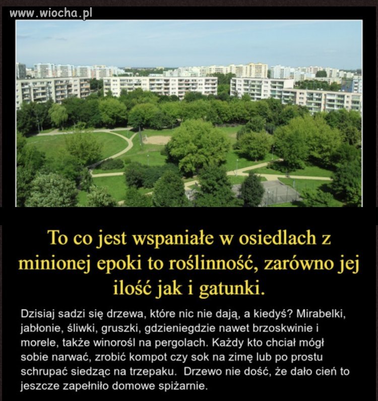 Jest w tym dużo racji.