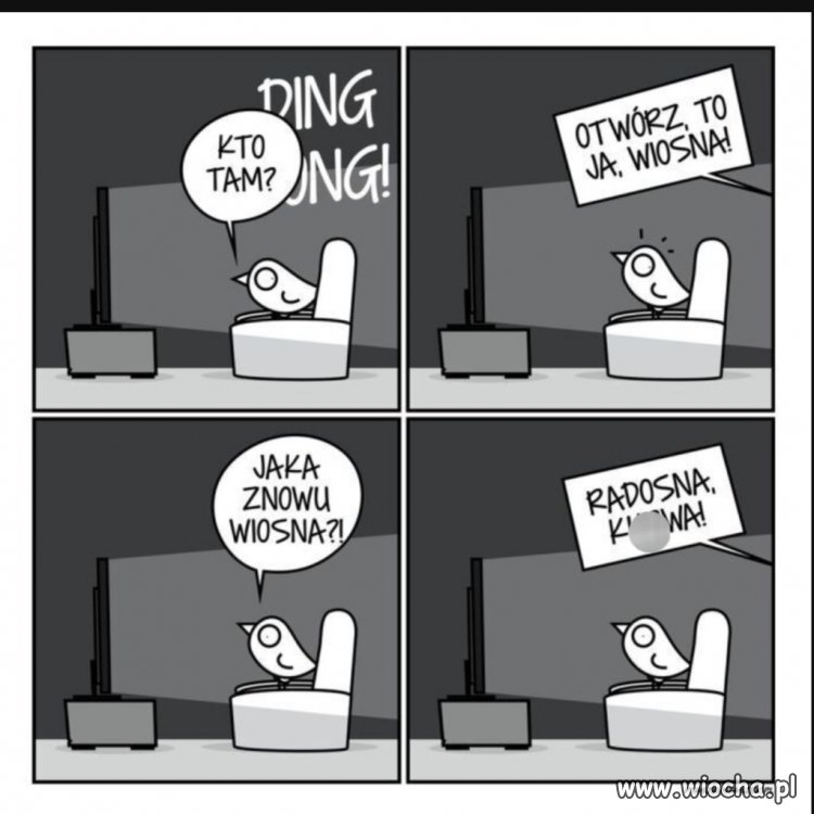Wiosna, wiosna co za wiosna?
