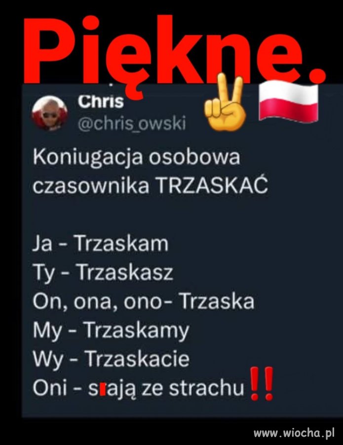 Trzaskam i ja! Trzaskaj razem z nami!