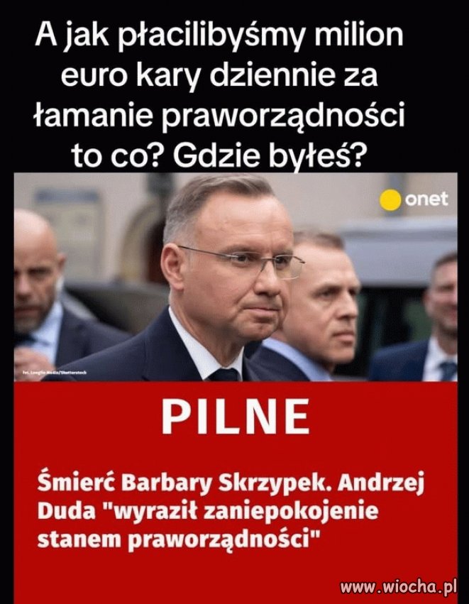 Błazen pisowski