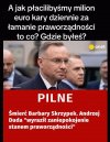 Błazen pisowski
