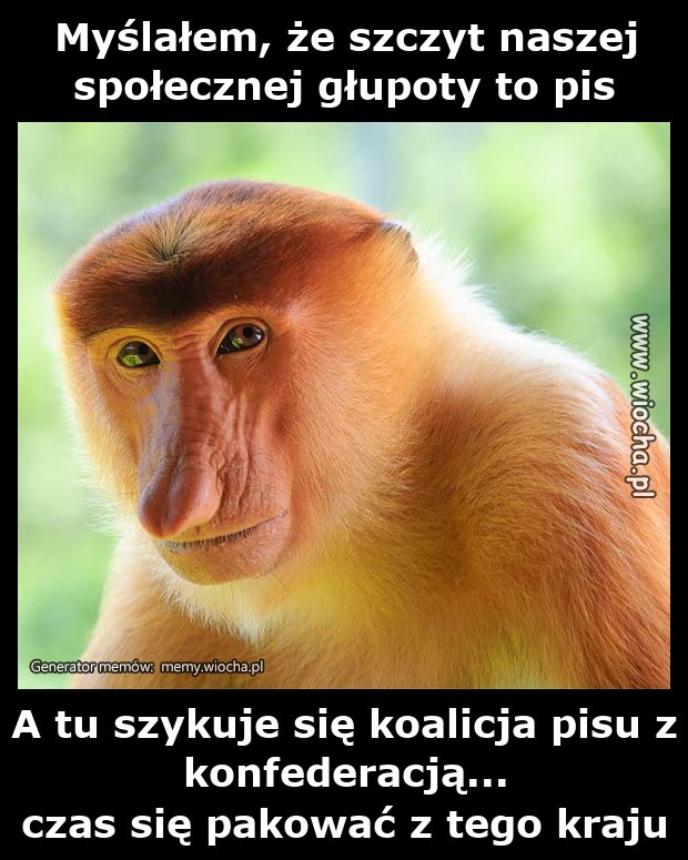 Myślałem, że szczyt naszej społecznej głupoty to
