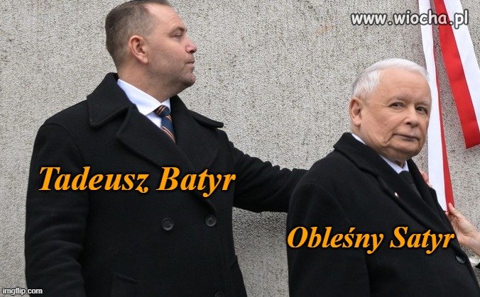 NIezależny kandydat