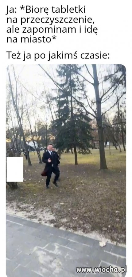 Run Forest, run