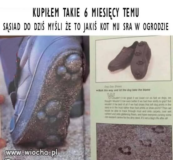Bez polityki