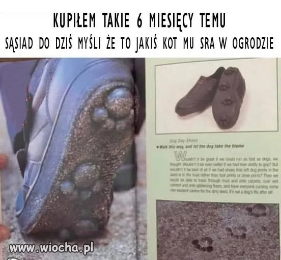Bez polityki