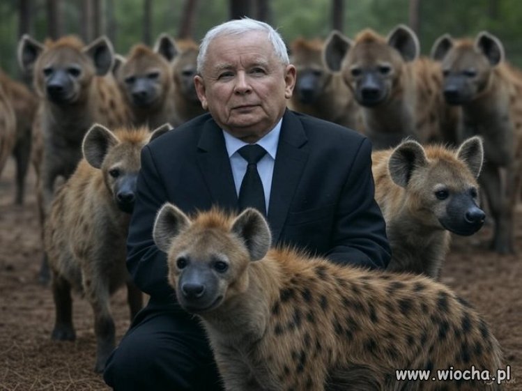 Bez słów ...