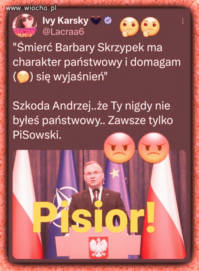 Debil pisowski przemówił