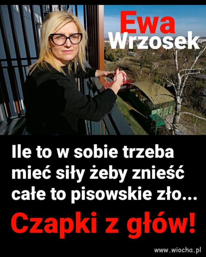 PiSiory znów starają się zaszczuć Panią Prokurator