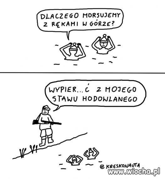 Staszek słyszałem,  że morsy hodujesz?!