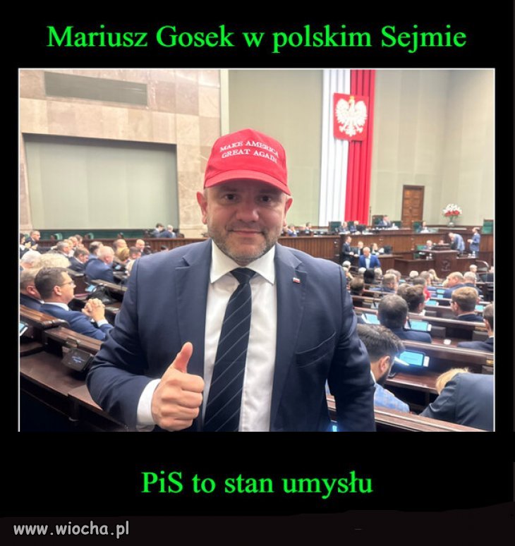 PiS z umysłem ma niewiele wspólnego.