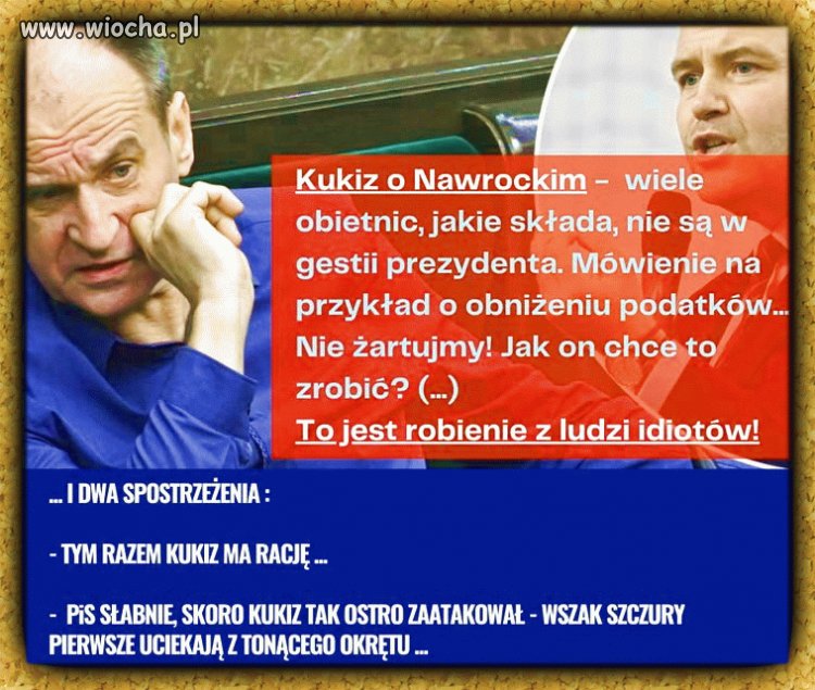 Wojny plemienne w PIS