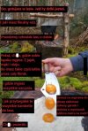 Gotowanie na ekranie