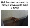 Potęga