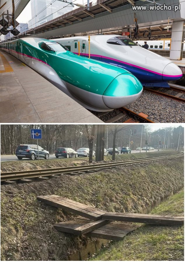 Japonia vs. Polska