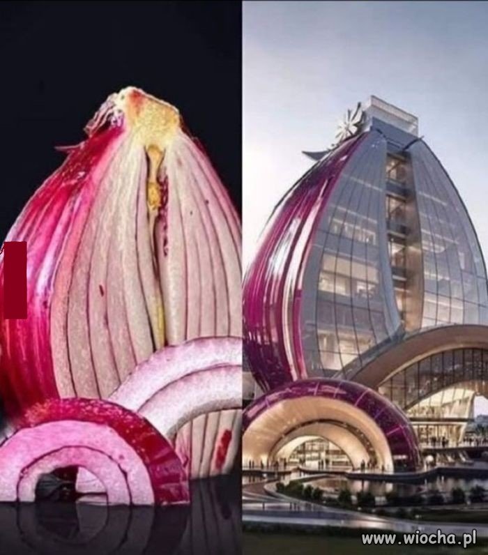 Polska cebulowa architektura