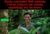 Sąsiad narozrabiał