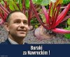 Tylko prawda