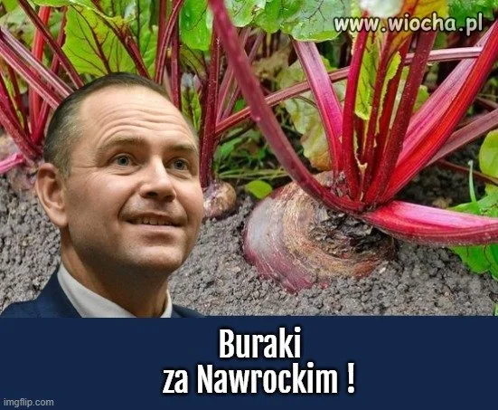 Tylko prawda